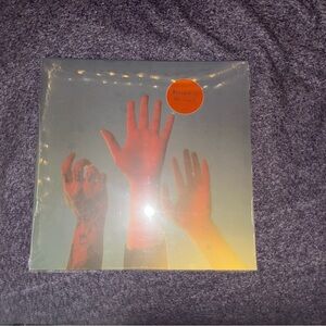 Boy genius “The Record” Vinyl